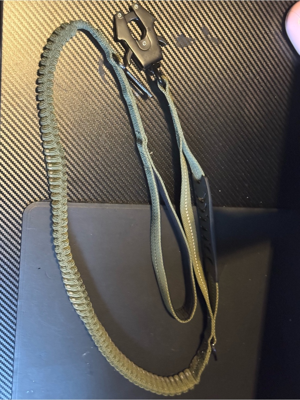 Green bungee leash with frog clip